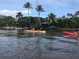 Wailua River 4